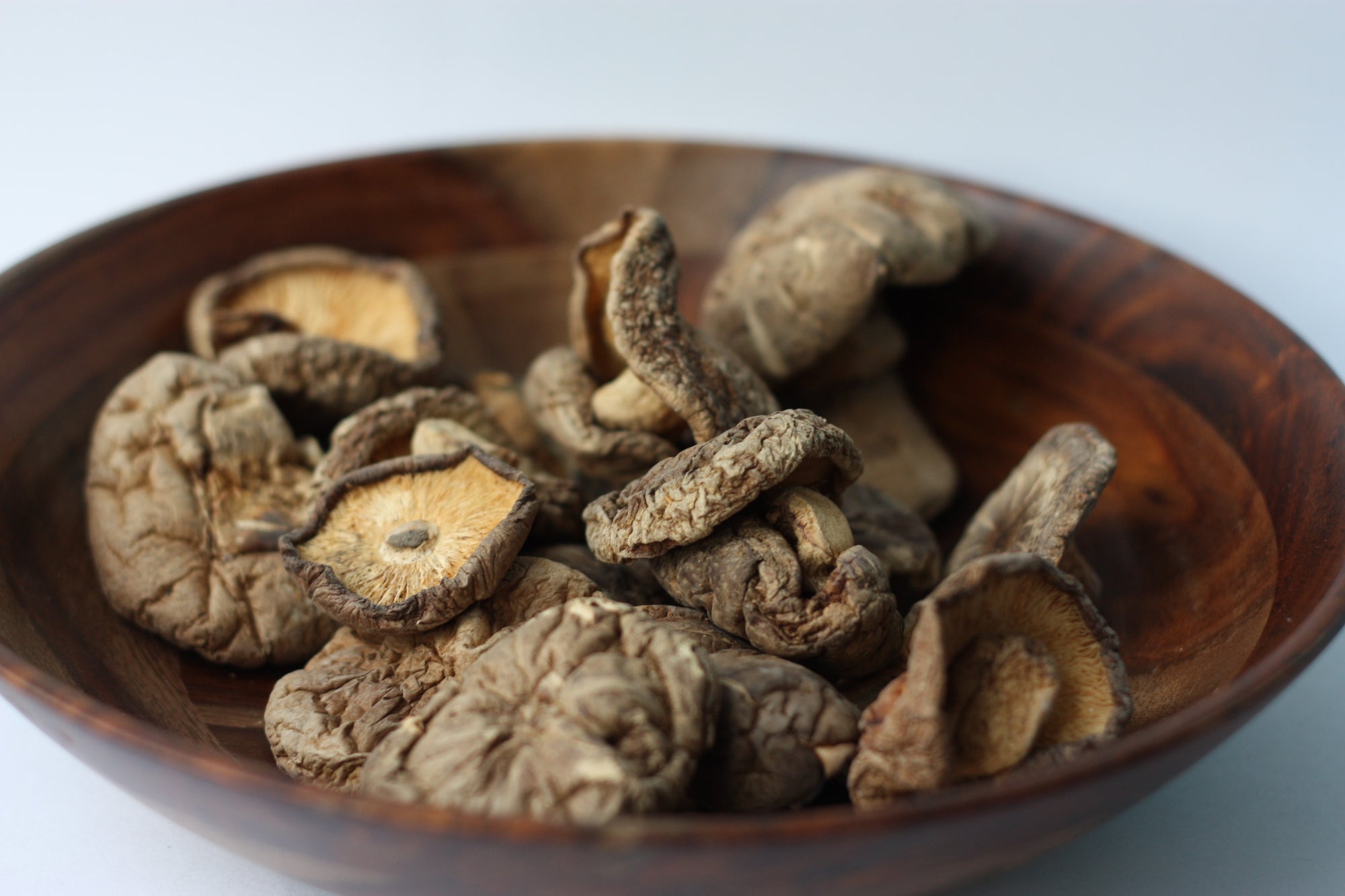 Exploring the Potent Power of Medical Mushrooms